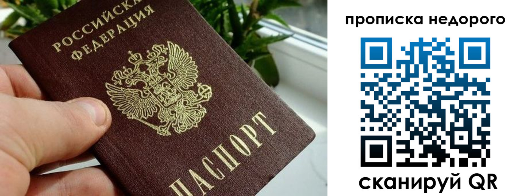 прописка для кредита в Приморском крае